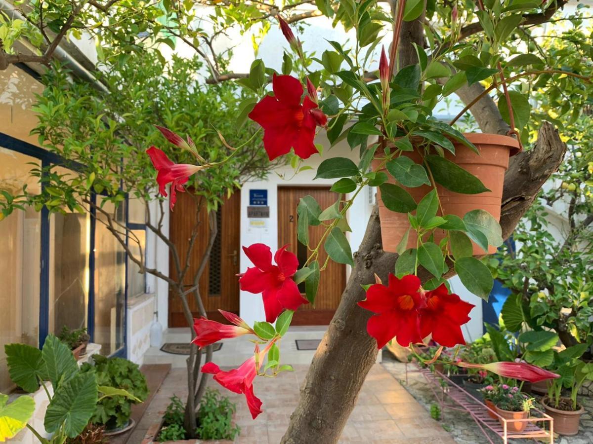 Ferienwohnung Danijela Mali Lošinj Exterior foto